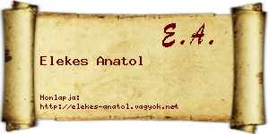 Elekes Anatol névjegykártya